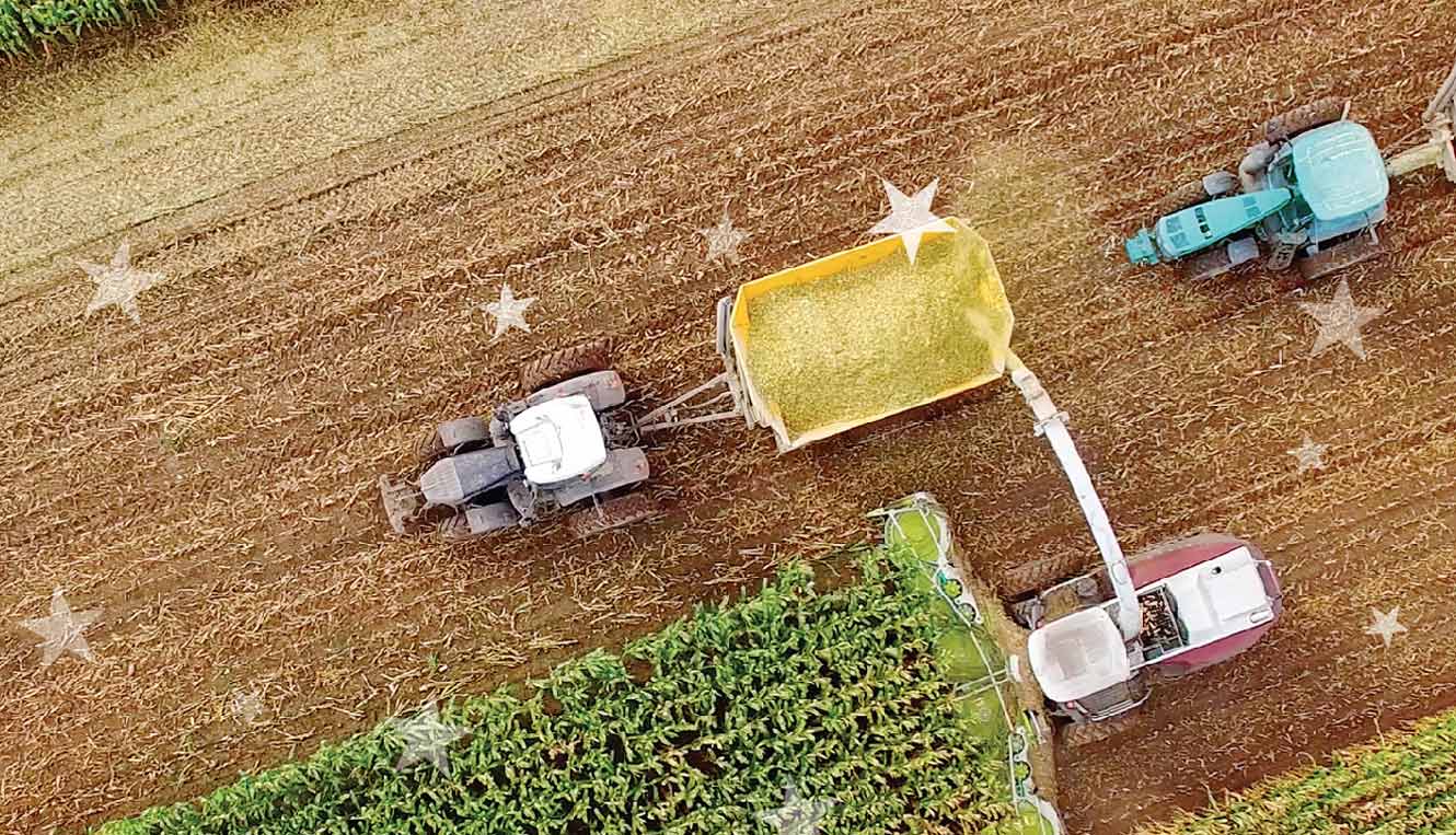 Overhead look at a corn harvest with a combine and tractor.