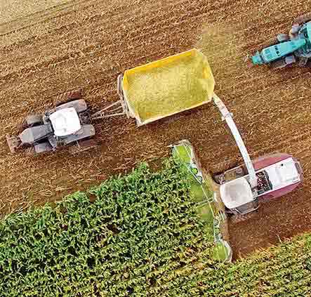 Farm equipment in a field harvesting corn.
